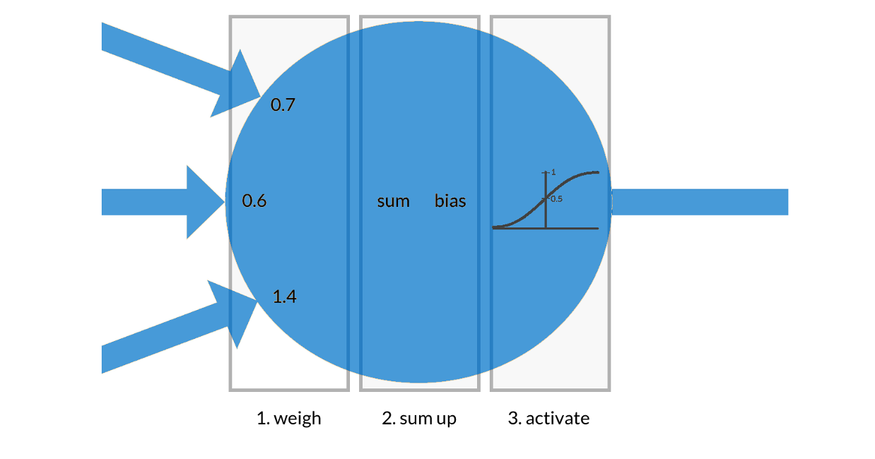 Neuron's processing steps